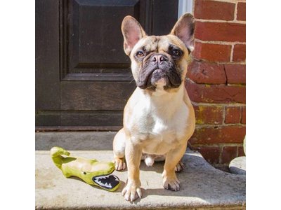 Beco Pets Pluche Puppy Speelgoed Krokodil voor Bulldogs