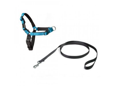 Easy Walk Anti Trek Tuig, De Riem en Harnas voor Trekkende Hond
