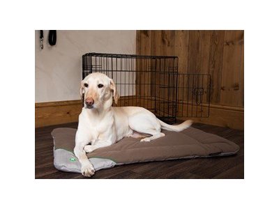 Insect Shield Honden Benchmat tegen Vlooien en Teken