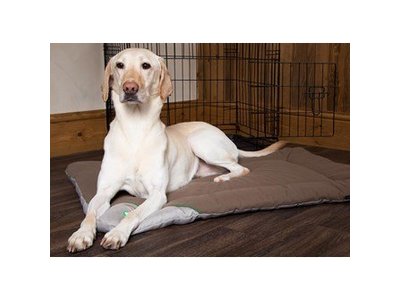 Insect Shield Honden Benchmat tegen Vlooien en Teken