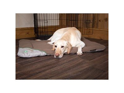 Insect Shield Honden Benchmat tegen Vlooien en Teken