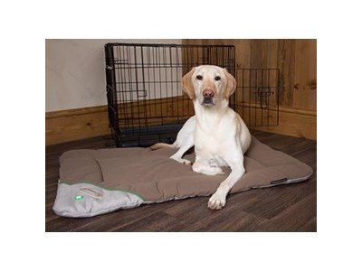 Insect Shield Honden Benchmat tegen Vlooien en Teken