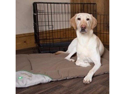 Insect Shield Honden Benchmat tegen Vlooien en Teken