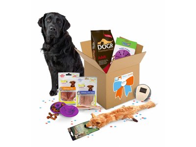 Max Happy GiftBox, het leukste cadeau voor Honden