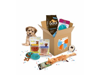 Max Happy GiftBox, het leukste cadeau voor Puppies