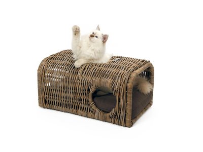 Speeltunnel van Rotan voor Kat met Kussen