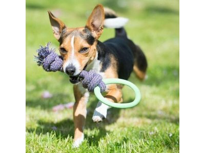 Beco Pets Speeltouw voor pups met bijtring