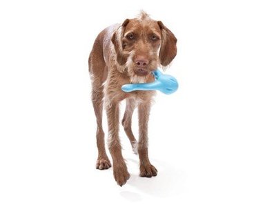 Honden spelletje om ver te gooien