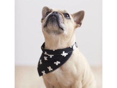 Territory Honden Bandana in Zwart/ Groen