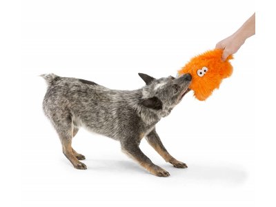 Rowdies Sterke Hondenknuffel Fergus