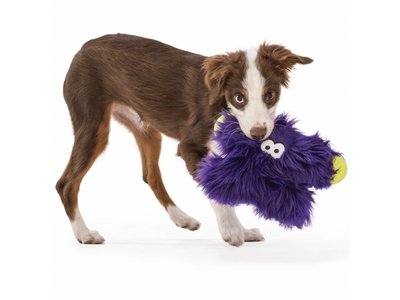 Rowdies Sterke Hondenknuffel Fergus
