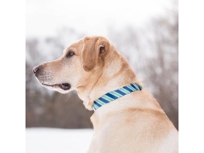 Muck Collar Hondenhalsband Prepster Stripe