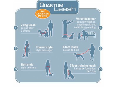 Kurgo Quantum Hondenriem 6 functies in 1