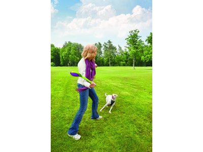 Winga Werpstok voor Honden met Disc