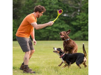 Winga Werpstok voor Honden met Disc