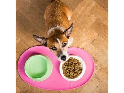 Placemat voor Voer- en Waterbak van Silicone