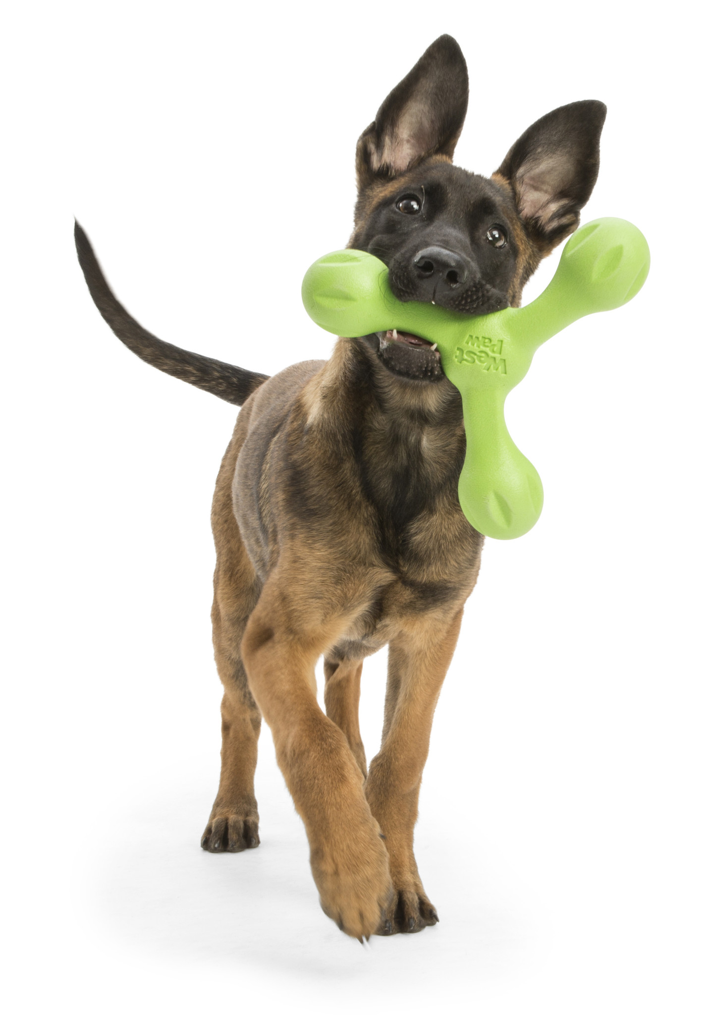 Jeu chien Huisdieren Honden Speeltjes Sterk & duurzaam speelgoed 