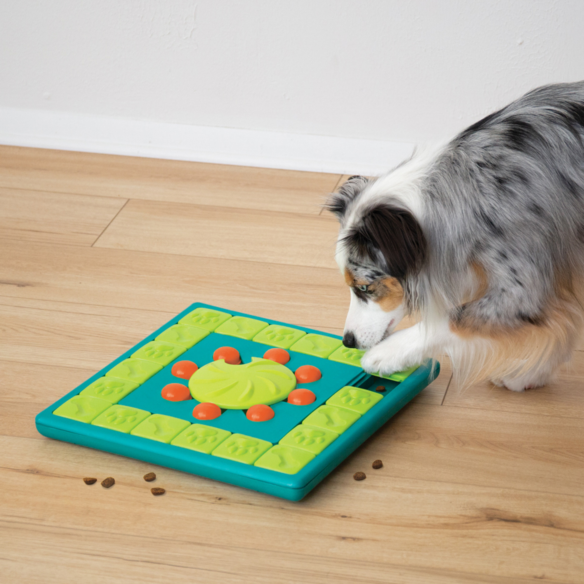alledaags Meedogenloos Kiwi Multipuzzle interactieve hondenpuzzel | Max&Luna.nl - Max&Luna