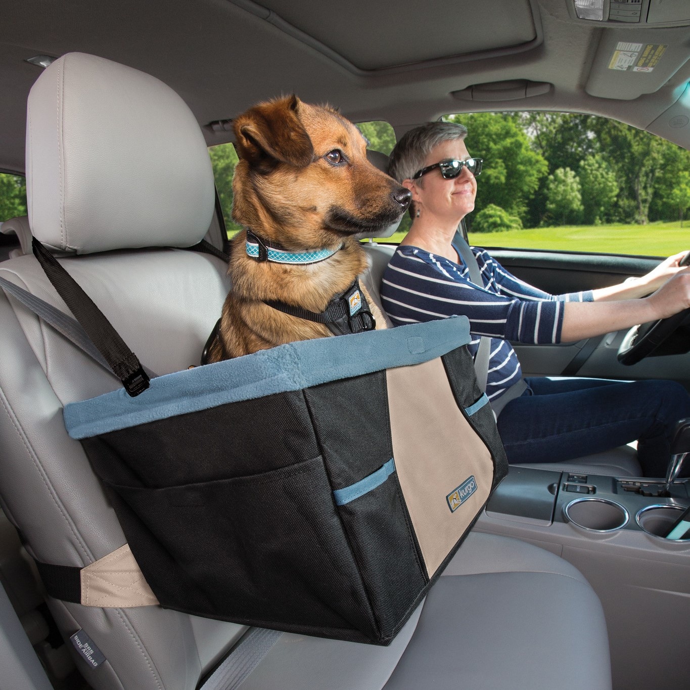 openbaring Geval Resistent Kurgo Rover Booster Seat - autostoel voor kleine honden | Max&Luna.nl -  Max&Luna