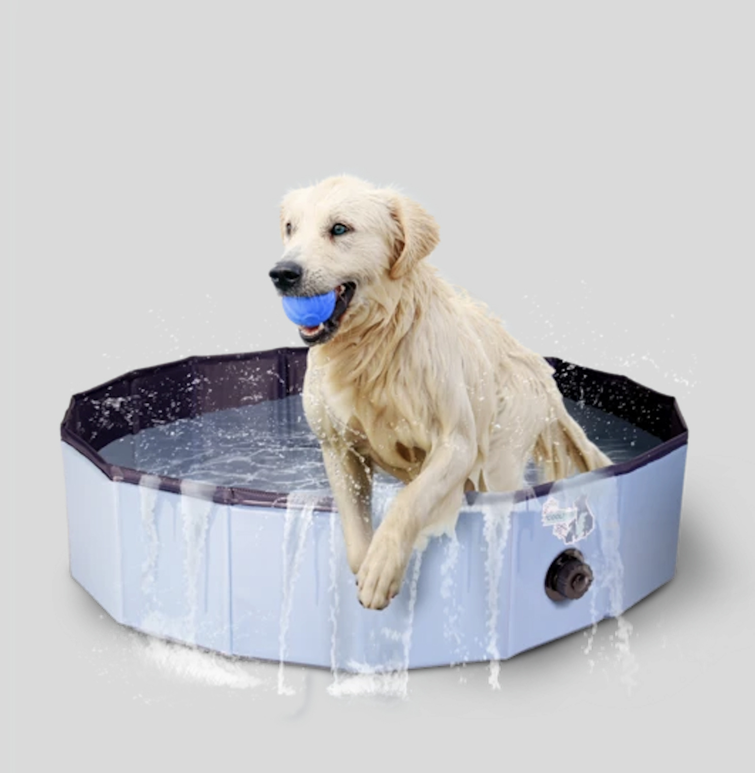 virtueel zuiverheid Lauw CoolPets Splash Dog Pool - Verkoelend zwembad voor honden - Max&Luna