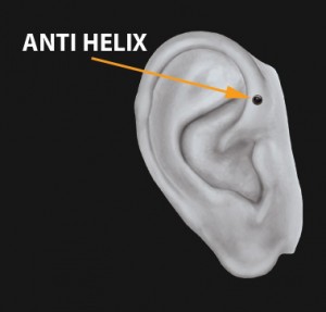 anti helix