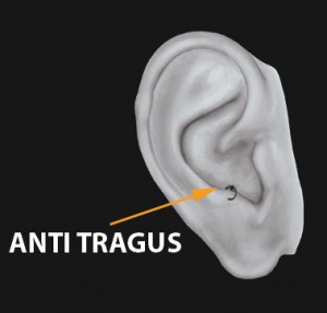 Anti tragus