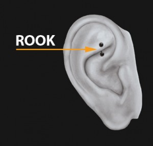 rook