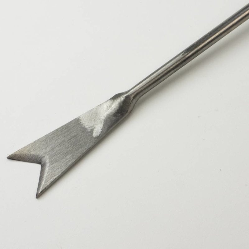 tool to dig dandelions