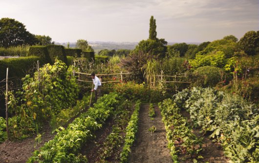 Gardens Illustrated Reader Event: Plot to plate in the kitchen Garden at Great Dixter