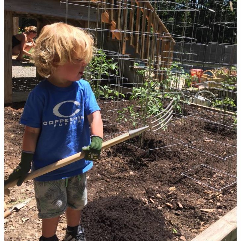 Children's Fork ***** - Sneeboer & Zn