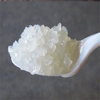Yoghurtplantje