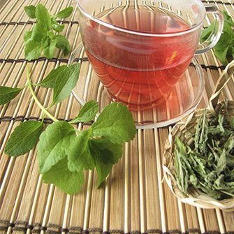 Stevia en gezondheid