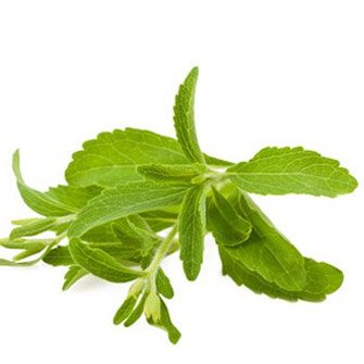 Stevia Smoothie suikervrije Pina Colada