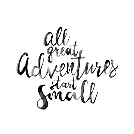 mies & co swaddle blanket great adventures