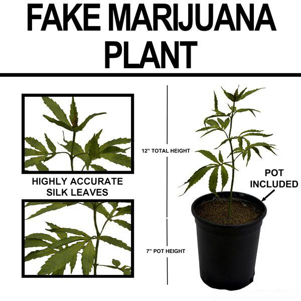 inert-fake-marijuana-plant.jpg