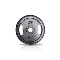 20kg schijf ijzer met rubberen ring met handgrepen 50mm