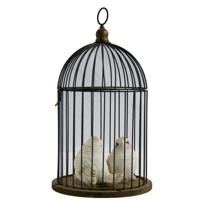 Vintage Vogelkooi met Houten Plateau