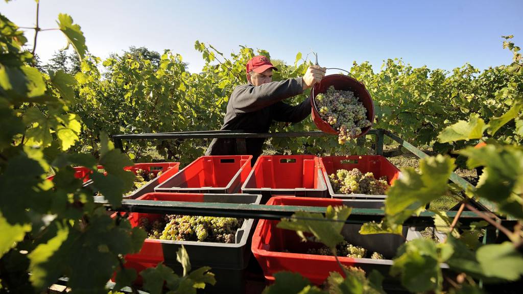 Eindelijk binnen: Domaine de la Bergerie