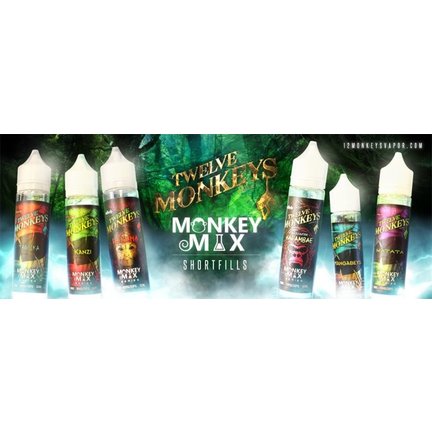 TWELVE MONKEYS - MONKEY MIX
