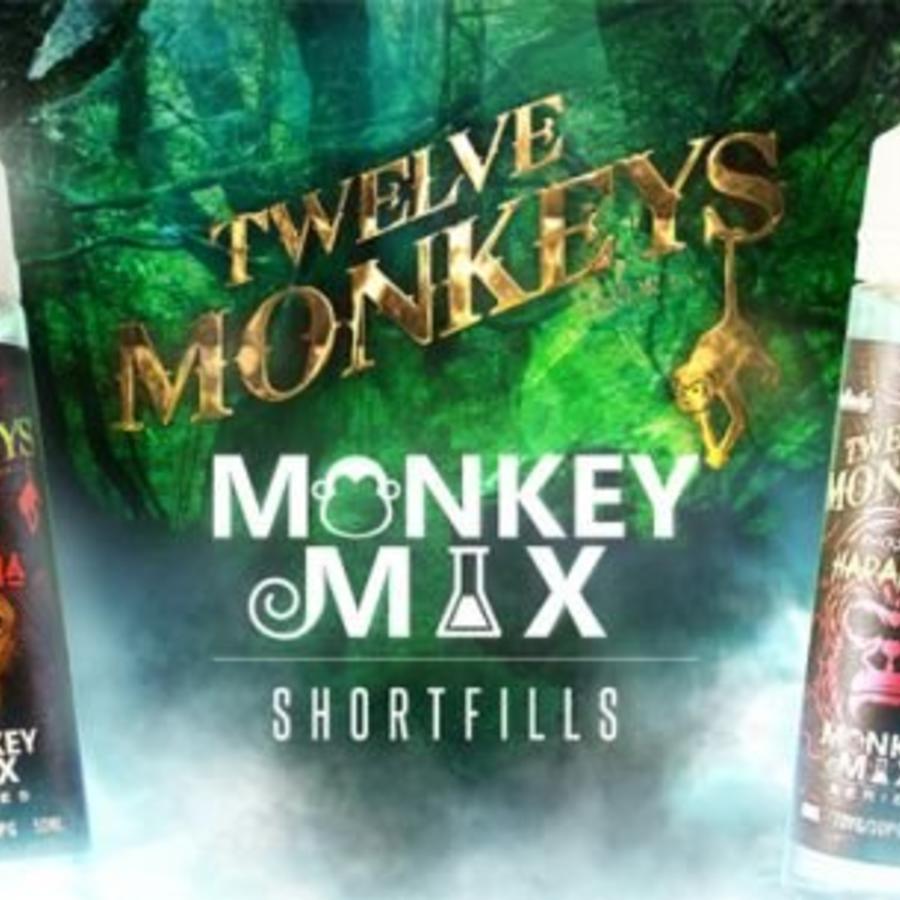 12 MONKEYS - MONKEY MIX