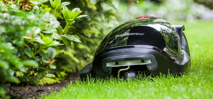 Is jouw gras groener dan dat van de buren?