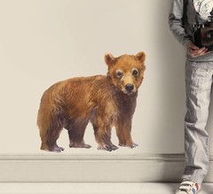 Muurstickers voor de kinderkamer