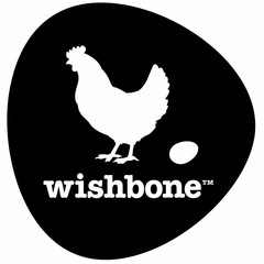 Wishbone Bike