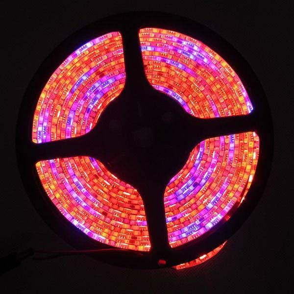 LED Strip Verlichting voor Planten kopen? I MyXLshop (Tip) LED Strip Verlichting voor Planten kopen? I MyXLshop (Tip)