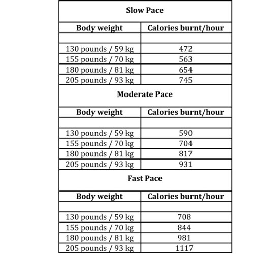 Jump Rope Cardio Calories Calculator 