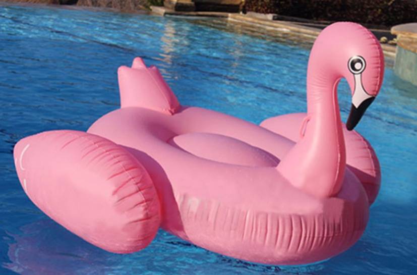 Výsledok vyhľadávania obrázkov pre dopyt flamingo float