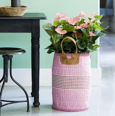 Bloeiende planten