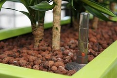 Hydrocultuur