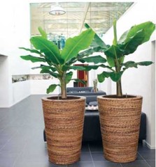 Exclusieve bloempotten