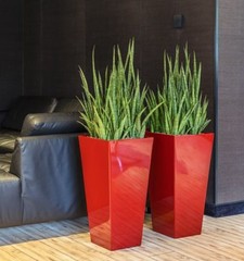 Hydrocultuur in sierpot